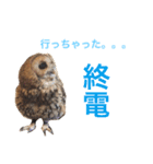 ふくろうの、りおさん。（個別スタンプ：27）