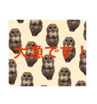 ふくろうの、りおさん。（個別スタンプ：37）