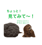 ふくろうの、りおさん。（個別スタンプ：40）