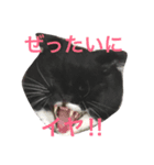 チビルのスタンプ（個別スタンプ：2）
