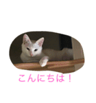らぶらぶなふたり（個別スタンプ：2）