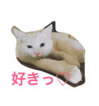 らぶらぶなふたり（個別スタンプ：4）