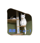 らぶらぶなふたり（個別スタンプ：5）