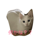 らぶらぶなふたり（個別スタンプ：6）