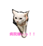らぶらぶなふたり（個別スタンプ：7）