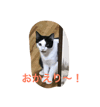 らぶらぶなふたり（個別スタンプ：8）