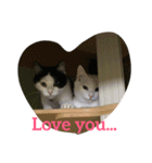 らぶらぶなふたり（個別スタンプ：10）