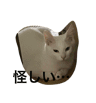 らぶらぶなふたり（個別スタンプ：12）