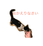 らぶらぶなふたり（個別スタンプ：13）
