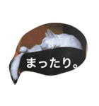 らぶらぶなふたり（個別スタンプ：14）