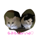 らぶらぶなふたり（個別スタンプ：17）