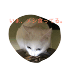 らぶらぶなふたり（個別スタンプ：18）