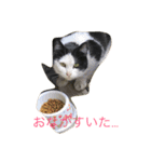 らぶらぶなふたり（個別スタンプ：19）