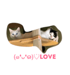らぶらぶなふたり（個別スタンプ：20）