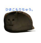 らぶらぶなふたり（個別スタンプ：21）