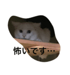 らぶらぶなふたり（個別スタンプ：22）