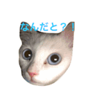 らぶらぶなふたり（個別スタンプ：24）