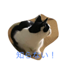 らぶらぶなふたり（個別スタンプ：27）