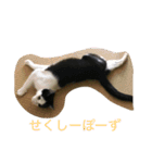 らぶらぶなふたり（個別スタンプ：28）