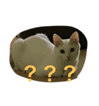 らぶらぶなふたり（個別スタンプ：30）