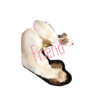 ワンheart（個別スタンプ：2）