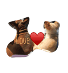 ワンheart（個別スタンプ：4）