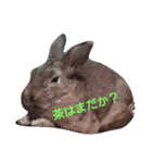 御隠居もみたん（個別スタンプ：2）