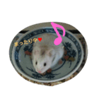 可愛い動物たちのキモチ（個別スタンプ：2）