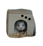 可愛い動物たちのキモチ（個別スタンプ：3）