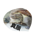 可愛い動物たちのキモチ（個別スタンプ：4）