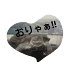 可愛い動物たちのキモチ（個別スタンプ：5）