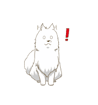 サモエド スマイル（個別スタンプ：2）