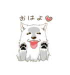 サモエド スマイル（個別スタンプ：4）