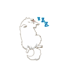 サモエド スマイル（個別スタンプ：5）