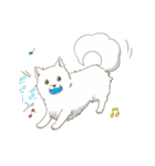 サモエド スマイル（個別スタンプ：11）