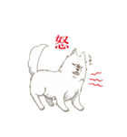 サモエド スマイル（個別スタンプ：17）
