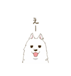 サモエド スマイル（個別スタンプ：27）