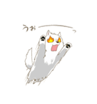 サモエド スマイル（個別スタンプ：36）