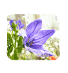 Text in flowers 2（個別スタンプ：3）