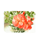Text in flowers 2（個別スタンプ：4）