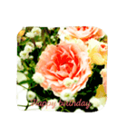 Text in flowers 2（個別スタンプ：5）