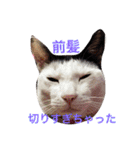 しじみ先輩（個別スタンプ：2）