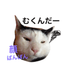 しじみ先輩（個別スタンプ：4）
