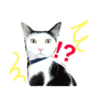 しじみ先輩（個別スタンプ：5）