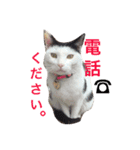 しじみ先輩（個別スタンプ：8）