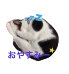 しじみ先輩（個別スタンプ：10）