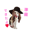 しじみ先輩（個別スタンプ：20）