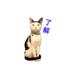 しじみ先輩（個別スタンプ：26）