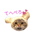 猫のまろさん ver.アニマル（個別スタンプ：11）
