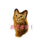 チャロという猫の日常 ver.3（個別スタンプ：4）